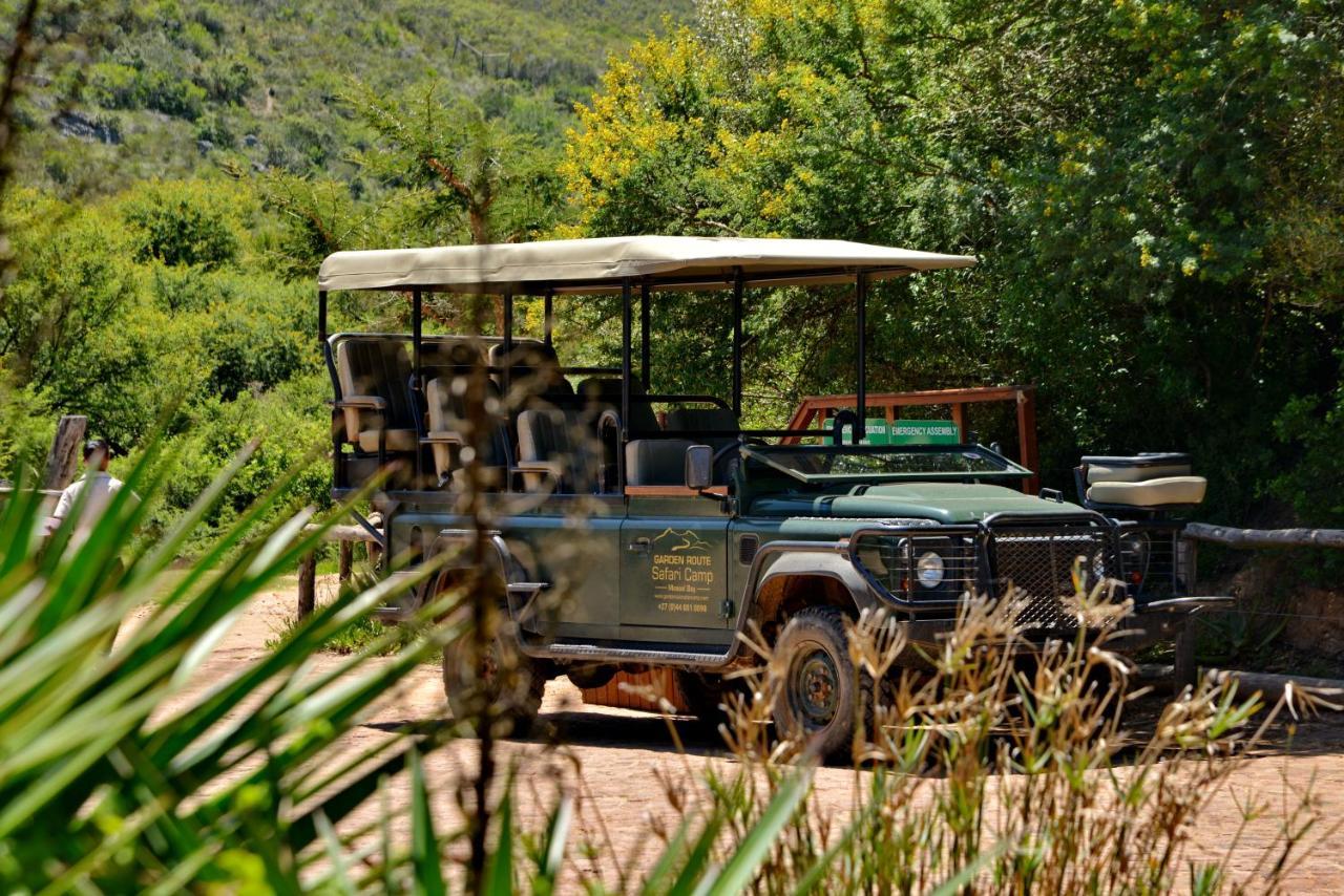 Hotel Garden Route Safari Camp Mossel Bay Exteriér fotografie